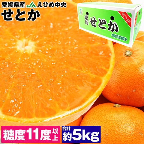 dショッピング |せとか みかん 5kg 愛媛県産 JAえひめ中央 柑橘 大トロ 