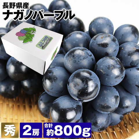 dショッピング |長野県産 ナガノパープル 2房 種なし 秀 化粧箱 冷蔵便
