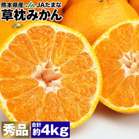 dショッピング |草枕みかん 5kg 熊本県産 青秀以上 37~63玉程度 S/M/Lサイズ JAたまな くさまくら 夏目漱石 ミカン 蜜柑 ...