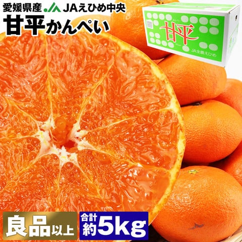 愛媛県産　甘平　柑橘　5kg
