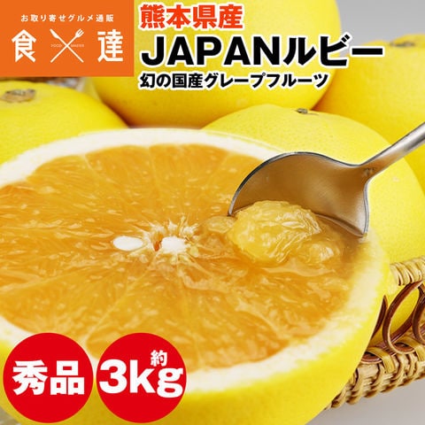 グレープフルーツ 国産 超希少 JAPANルビー 約3kg 秀品 贈答用 熊本県産 柑橘 冷蔵便