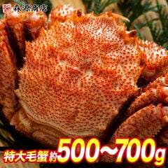 かに カニ 蟹 ロシア産 毛ガニ1尾 約500g～700g 送料無料 お取り寄せグルメ 食品 ギフト 海鮮