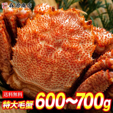 Dショッピング ロシア産 毛ガニ1尾 600g 700g 送料込み 送料無料 かに 蟹 カニお取り寄せグルメ 食品 ギフト 海鮮 お歳暮 カテゴリ 水産加工品の販売できる商品 食の達人森源商店 061kkani 016 ドコモの通販サイト