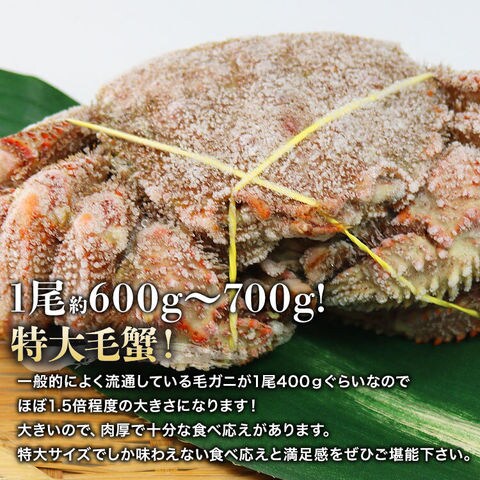 Dショッピング ロシア産 毛ガニ1尾 600g 700g 送料込み 送料無料 かに 蟹 カニお取り寄せグルメ 食品 ギフト 海鮮 お歳暮 カテゴリ 水産加工品の販売できる商品 食の達人森源商店 061kkani 016 ドコモの通販サイト