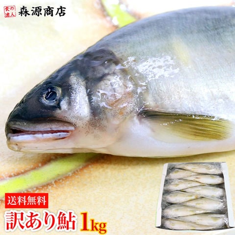 dショッピング |鮎 訳あり 1kg 徳島県産 特大サイズ10～11匹入り 個