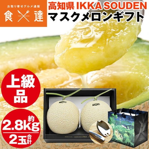 マスクメロン ギフト お歳暮 高級 2玉 合計2.8kg (1.4kg×2玉) 上級品 産地直送 高知県産 贈答用 送料無料 常温便 お取り寄せグルメ 食品 産直
