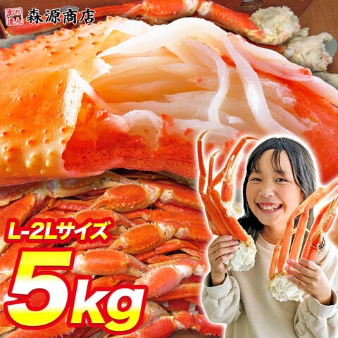 ボイルズワイがに (カニ脚5kg) 訳あり ずわい かに カニ 蟹 送料無料 お取り寄せグルメ 食品 ギフト 海鮮