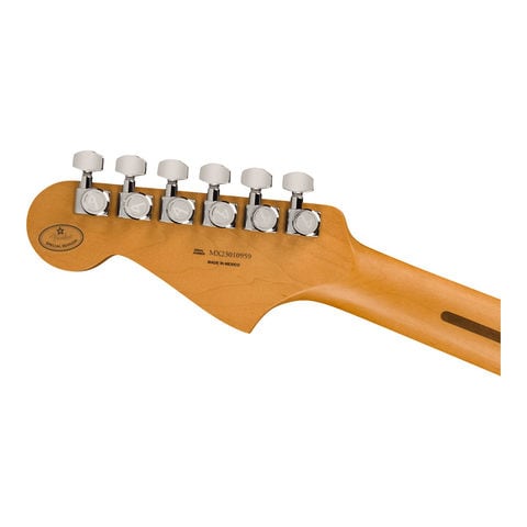 dショッピング |Fender フェンダー Limited Edition Player Plus