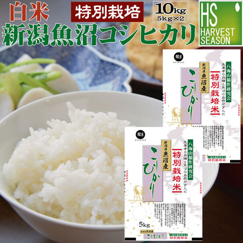dショッピング |期間限定特別価格！令和4年産 白米 特別栽培米 新潟県