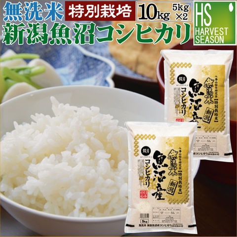 dショッピング |令和4年産 無洗米 特別栽培米 新潟県魚沼産コシヒカリ