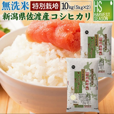 令和2年産 無洗米 特別栽培米 新潟県佐渡産 コシヒカリ 10kg(5kg×2袋)