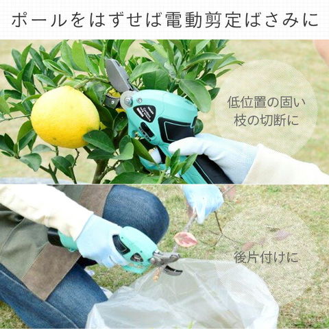 dショッピング |電動 電動 高枝切 剪定バサミ 高枝切バサミ 枝切ばさみ 