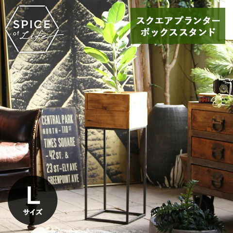 dショッピング |スクエアプランターボックススタンド Lサイズ TJXK2923