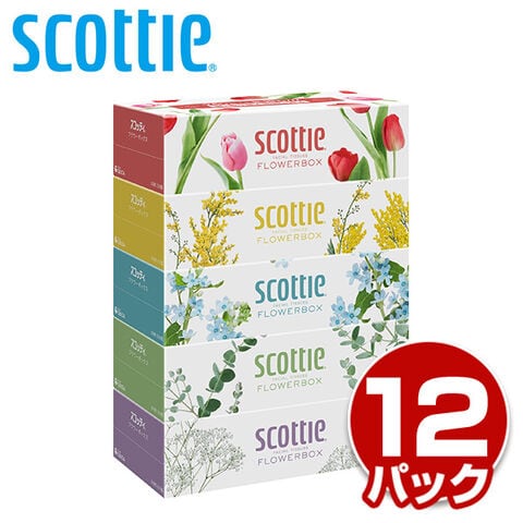 スコッティ (SCOTTIE) ティッシュペーパー フラワーボックス 500枚(250組) 5箱×12パック(60箱) scottie ティッシュ ティシュー ボックスティッシュ 箱ティッシュ 大容量 長持ち コンパクト 日本製 日本製紙クレシア 【送料無料】