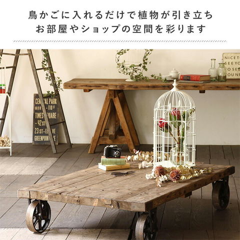 dショッピング |デイスプレイ ビッグ バードケージ アイアン 鳥かご