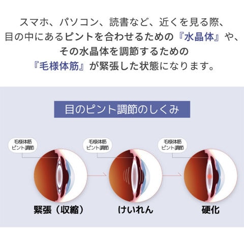 dショッピング |オタース Otus 目の筋力トレーニング アイケア OUTS-EYE01 眼筋トレーニング機 アイケアトレーニング機 アイケア 眼筋 トレーニング ビジョンセラピー おすすめ 目の健康管理 視力 動体視力 静止視力 エデンルックス 【送料無料】 | カテゴリ：の販売できる ...