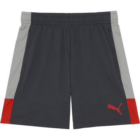 dショッピング |プーマ PUMA サッカーウェア メンズ INDIVILIGA TR