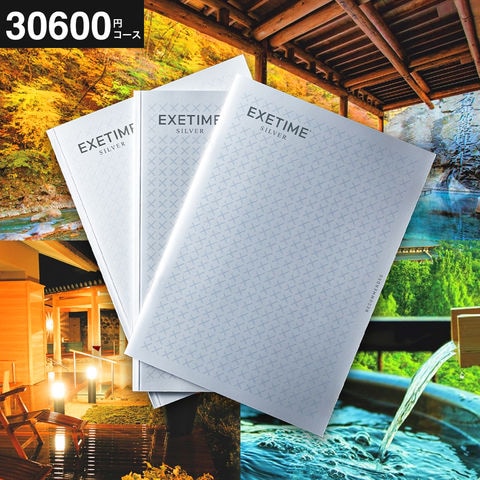 dショッピング |カタログギフト EXETIME（エグゼタイム） SILVER