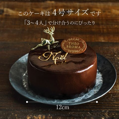 dショッピング |クリスマスケーキ 2025 theobroma テオブロマ ガトー