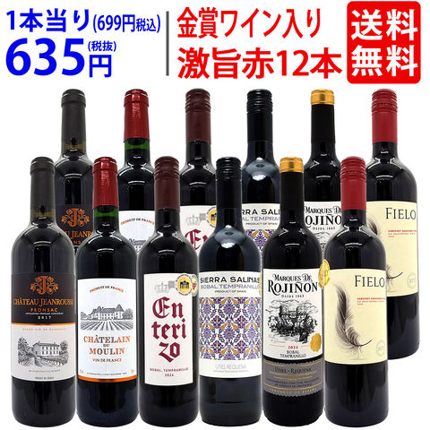 送料無料 ワイン ワインセット ワイン誌高評価蔵や金賞蔵ワインも入った激旨赤１２本セット (6種類各2本) ^W0AKC2SE^