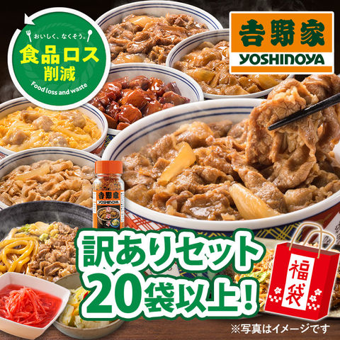 dショッピング |【牛丼4食が必ず入った20食以上の超おトクなセット