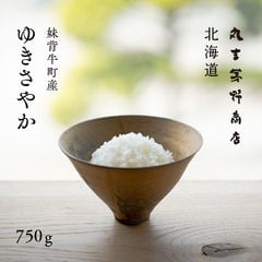 北海道産 ゆきさやか お試し 750g 5合 白米 令和6年産 産地限定 送料無料