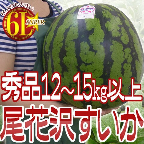 山形県産 ”尾花沢スイカ” S6L（7L級） 1玉約12kg以上 等級A（秀品）【予約 7月下旬以降】 送料無料〈*北海道・沖縄：追加送料必要〉