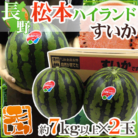 長野県 ”松本ハイランドすいか” 秀品 約7kg以上×2玉【予約 7月下旬以降】 送料無料〈*北海道・沖縄：追加送料必要〉