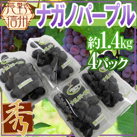 長野産 ”ナガノパープル” 秀品 4pc 約1.4kg パック入り ぶどう（冷蔵便）【予約 8月末以降】送料無料〈*北海道・沖縄：追加送料必要〉