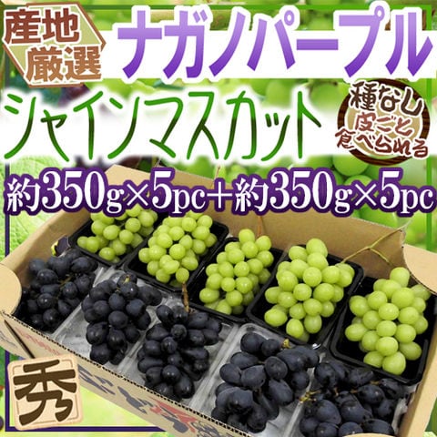 ”シャインマスカット＆ナガノパープル” 約350g×5＋約350g×5 合計10pc約3.5kg 産地厳選 食べ比べ ぶどう（冷蔵便）【予約 9月以降】送料無料〈*北海道・沖縄：追加送料必要〉