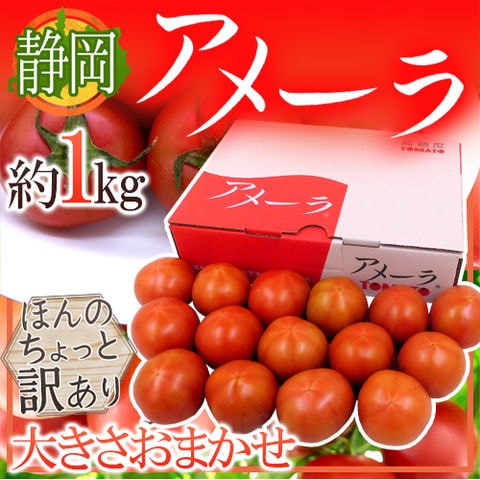 静岡県 ”高糖度フルーツトマト アメーラ”