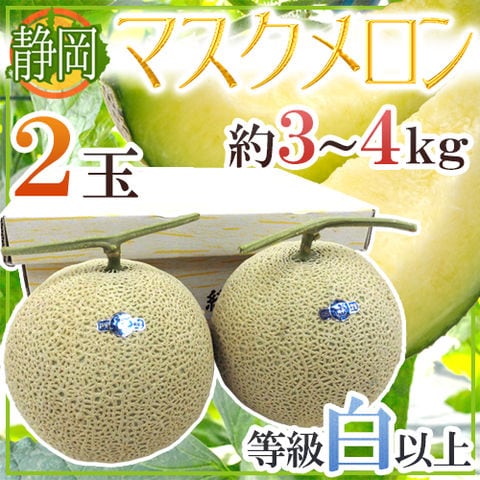静岡県 ”マスクメロン” 等級白以上 大玉2玉 約3～4kg【予約 6月以降】 送料無料〈*北海道・沖縄：追加送料必要〉
