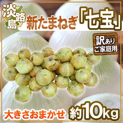 ”兵庫県 淡路島産 新たまねぎ 七宝” 訳あり 約10kg 大きさおまかせ【予約 5月中旬以降】 送料無料〈*北海道・沖縄：追加送料必要〉