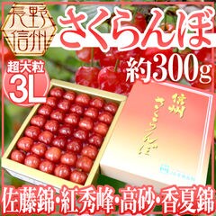 dショッピング | 『フルーツ / 食品』で絞り込んだランキング順の通販