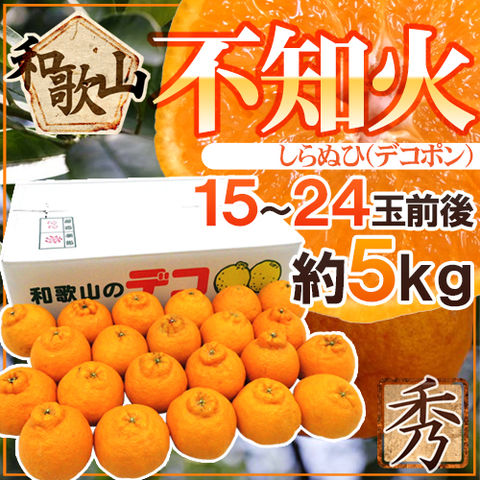和歌山産 ”不知火・しらぬい（デコポン）” 秀品 15～24玉前後 約5kg 産地箱【予約 2月以降】 送料無料〈*北海道・沖縄：追加送料必要〉