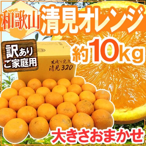 和歌山産 ”清見オレンジ” 訳あり 約10kg 大きさおまかせ【予約 3月以降】 送料無料〈*北海道・沖縄：追加送料必要〉