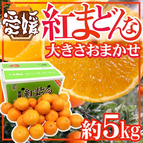 愛媛産　”紅まどんな”　約5kg　大きさおまかせ　ご家庭用【予約 12月以降】 送料無料〈*北海道・沖縄：追加送料必要〉