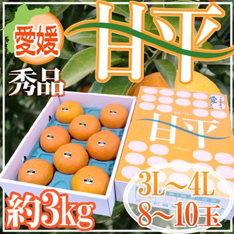 愛媛産 ”甘平” 秀品 3L～4L 超大玉8～10玉 約3kg 化粧箱【予約 1月中旬以降】 送料無料〈*北海道・沖縄：追加送料必要〉