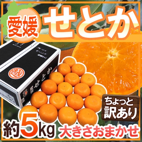 愛媛産 ”せとか” ちょっと訳あり 約5kg 大きさおまかせ 産地箱【予約 1月末以降】 送料無料〈*北海道・沖縄：追加送料必要〉