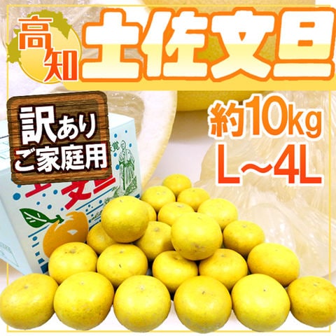 ”高知産 土佐文旦” 訳あり L～4Lサイズ 約10kg【予約 2月中下旬以降】 送料無料〈*北海道・沖縄：追加送料必要〉