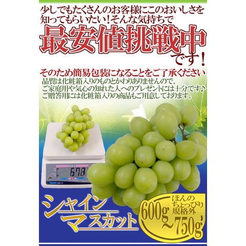 dショッピング |岡山産 ”シャインマスカット「晴王」” 大房 1房 約600g