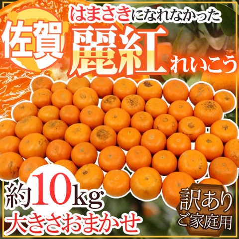 ”佐賀産 はまさきになれなかった 麗紅” 訳あり 約10kg 大きさおまかせ【予約 2月以降】 送料無料〈*北海道・沖縄：追加送料必要〉