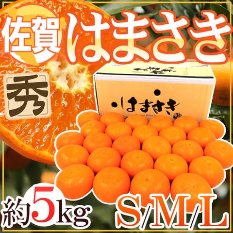 佐賀産 ”はまさき” 秀品 S/M/L 約5kg 産地箱入り 麗紅【予約 2月以降】 送料無料〈*北海道・沖縄：追加送料必要〉