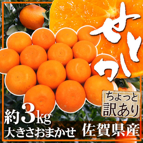 ”佐賀産 せとか” ちょっと訳あり 約3kg 大きさおまかせ【予約 1月下旬以降】 送料無料〈*北海道・沖縄：追加送料必要〉