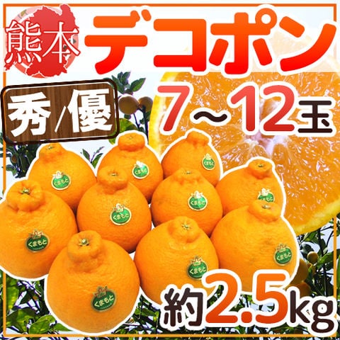 ”熊本産 デコポン” 秀・優品 7～12玉 約2.5kg【予約 1月以降】 送料無料〈*北海道・沖縄：追加送料必要〉