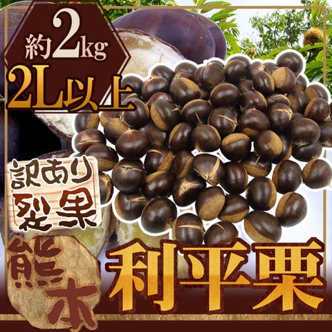 ”利平栗” 大粒2L以上 約2kg 裂果 熊本産・愛媛産など 訳あり 和栗【予約 9月末以降】（冷蔵便） 送料無料〈*北海道・沖縄：追加送料必要〉