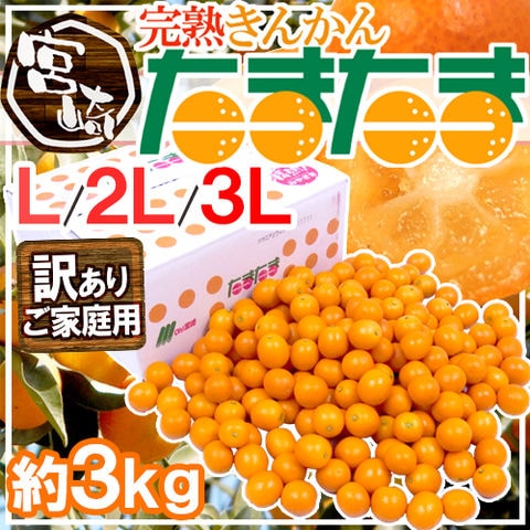 宮崎県 ”完熟きんかん たまたま” ちょっと訳あり 約3kg 大きさおまかせ 産地箱【予約 2月中旬以降】 送料無料〈*北海道・沖縄：追加送料必要〉