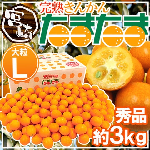 宮崎県 ”完熟きんかん たまたま” 秀品 Lサイズ 約3kg【予約 2月中旬以降】 送料無料〈*北海道・沖縄：追加送料必要〉