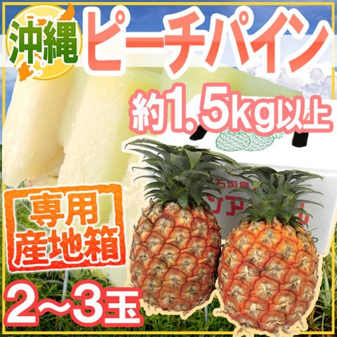 沖縄産 ”ピーチパイン” 2～3玉 約1.5kg以上 専用産地箱 パイナップル【予約 3月下旬以降】 送料無料〈*北海道・沖縄：追加送料必要〉