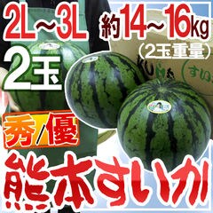 dショッピング | 予約商品 | 新着順の通販できる商品一覧 | ドコモの